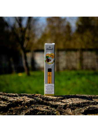 Одноразовая POD-система Manoli 1600 Melon Coconut