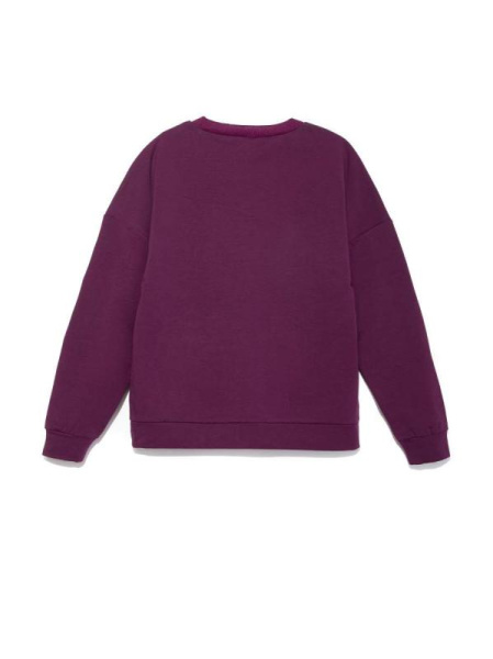 Экстрамягкий свитшот с термоэффектом 843 Экстрамягкий свитшот с термоэффектом 843