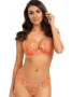 Комплект Ewa Bien Sansa - бюстгальтер push up B214 и бразилианки C511 Коралловый-экри || Комплект Ewa Bien Sansa - бюстгальтер push up B214 и бразилианки C511 Коралловый-экри