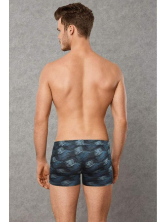 Трусы-боксеры Doreanse Brush арт. 1735, S, Brush