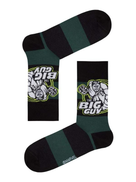 Носки муж. DW MARVEL 17С-140СПМ, р.25, 062 темно-зеленый