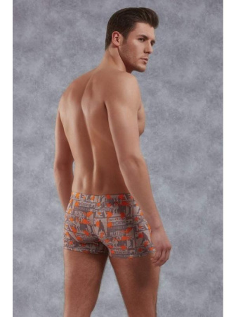 Трусы-боксеры Doreanse Sports арт. 1895, S, Sports