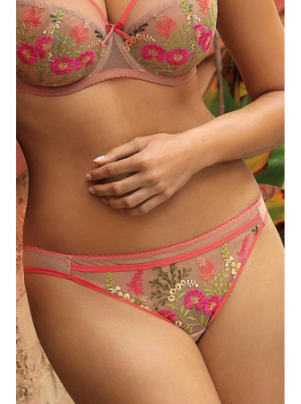 Бразилианки Ewa Bien Alba C322 Капучино-розовый