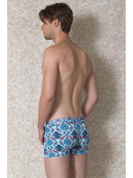 Трусы-боксеры Doreanse Tulips арт. 1877, S, Tulips