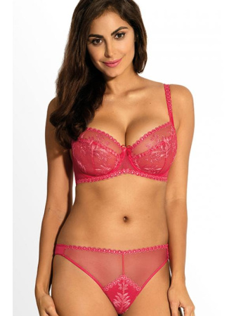 Комплект Ewa Bien Latona - бюстгальтер с мягкой чашкой B103 и полные трусики C100 Малиновый Комплект Ewa Bien Latona - бюстгальтер с мягкой чашкой B103 и полные трусики C100 Малиновый