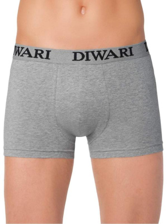 DiWaRi труси чол. DW PREMIUM MSH 758, р.110,114, grey melange