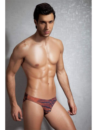 Трусы-слипы Doreanse Bengal Tiger арт. 1287, 2XL, Bengal Tiger