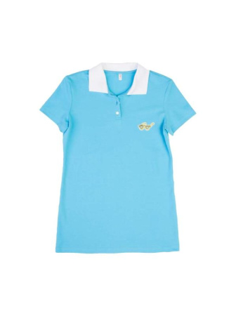 Футболка-поло с вышивкой LD 729 || ВТЖ Джемпер жін. CE LD 729, р.170-84, блакитний