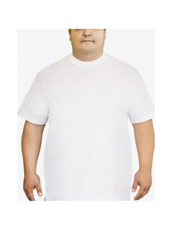 Мужская футболка Oztas A-1038 батал, 4XL, Белый