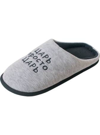 Туфлі дом. чол. арт. 04т-100 Slippers, р.40-41, св. ассорті