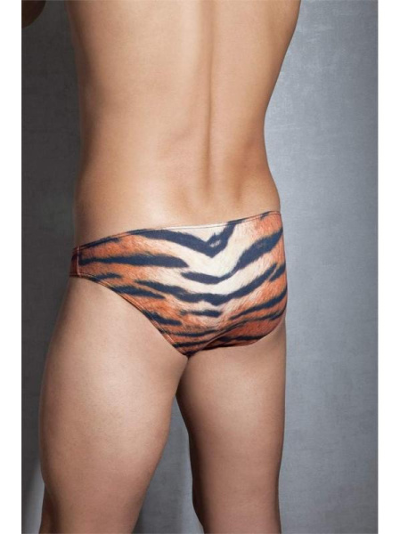 Трусы-слипы Doreanse Bengal Tiger арт. 1287, 2XL, Bengal Tiger
