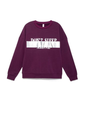 Экстрамягкий свитшот с термоэффектом 843 || Джемпер жін. CE LD 843, р.170-96, plum