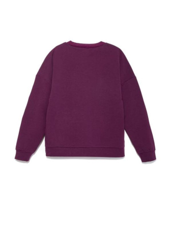 Экстрамягкий свитшот с термоэффектом 843 || Джемпер жін. CE LD 843, р.170-96, plum