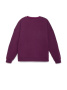 Экстрамягкий свитшот с термоэффектом 843 || Джемпер жін. CE LD 843, р.170-96, plum