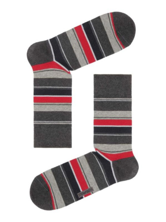 Носки муж. DW HAPPY 15С-23СП